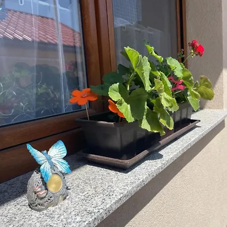 Benige Vendeghaz Guest house 3*